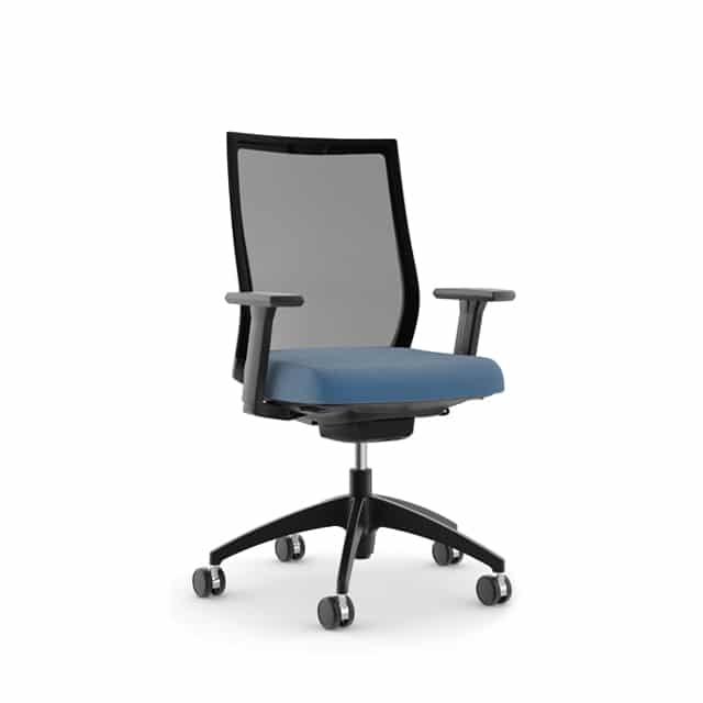 Ergonomic Office Chairs